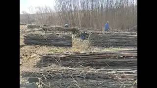 Herstellung von Faschinen– EcoFaschinen Werk