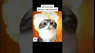 Как учитель диктует нам диктант