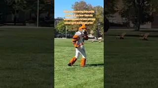 Benny&rsquo;s on the go again-can you keep up? 🐾 #bennythebengal #idahostateu