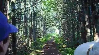 Moose Tracking with Wild Women Expeditions