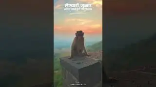 Samarth Computer Education, Trip 2023 24 👍🏻👍🏻