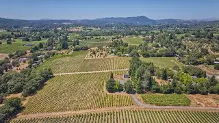 Super premium vineyard in the prestigious Green Valley AVA of west Sonoma County.