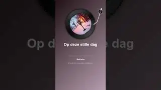 Op deze stille dag