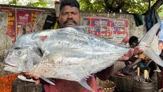 KASIMEDU SPEED SELVAM | HUGE DIAMOND TRAVELLY FISH CUTTING VIDEO | 4K VIDEO | KM FISH CUTTING