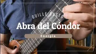 Abra del C&oacute;ndor - Guille Busto (music for ronroco)