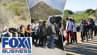 Nearly 60% of Americans want criminal, illegal migrants deported: Poll
