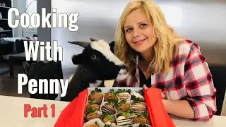 There is a GOAT in my kitchen  | Chocolate Covered Strawberries | Baileys Barn