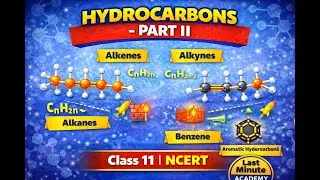 Hydrocarbons &ndash; Part II | Class 11 Chemistry | NCERT | Last Minute Academy