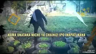 KILIMO KWANZA TANZANIA KILIMO CHA CHAINIZI KINA LIPA