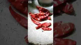 തൈര് മുളക് തൊണ്ടാട്ടം 😂