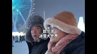 壮观震撼的冰雪大世界，滑梯，摩天轮好难约呀#哈尔滨冰雪大世界 #旅行碎片 #冰雕世界