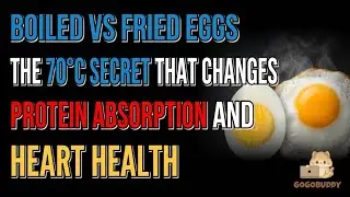 Boiled vs Fried Eggs The 70&deg;C Secret That Changes Protein Absorption and Heart Health