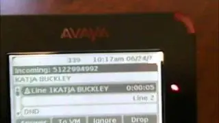 Introduction to the Avaya 9620