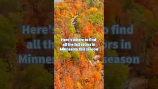 Where to Find Fall Colors in Minnesota