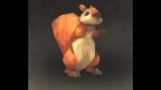 Eastern Kingdoms Safari: Squirrel Battle Pet, Elwynn Forest, WoW Retail