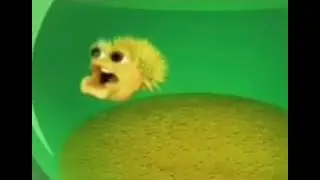 don&rsquo;t pee on the floor, use the Commodore