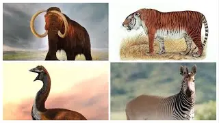 Top Extinct Animals Being Brought Back To Life