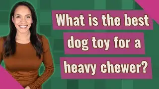 What is the best dog toy for a heavy chewer?