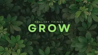 Healthy Things Grow: Part 5