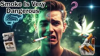 How Weed Hijacks Your Brain | The Science of Getting High Explain by Such Aur Samajh