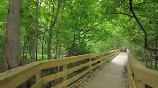 Hemlock Bluffs Nature Preserve - Cary, NC - [TRAILS] - [OVERLOOKS] - [NATURE SOUNDS] - [4K]