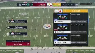 Steelers Theme team Madden 21