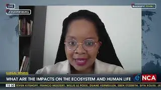 Illegal mining | What are the impacts on the ecosystem and communities?