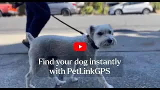 Find Your Dog Instantly with PetLinkGPS | Real-Time Location Tracking in Action!