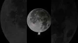 What is the difference between Penumbral and Total Lunar Eclipses?