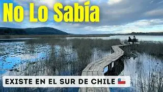 Punucapa La Joya Escondida de la Selva Valdiviana, Chile