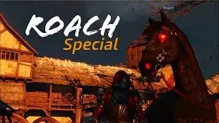 ROACH Skins - The Witcher 3 in 2020