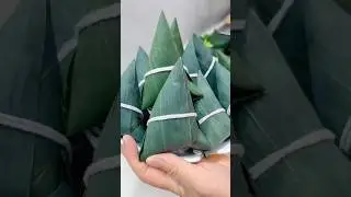 Master the Art of Zongzi! Easy Triangle Wrapping Tutorial 🥟  #food
