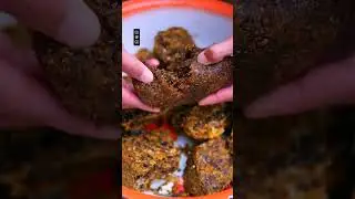 How to Make Candles from Unique Traditional Wild Honey Wax in the Mountains|Village Life#food #rural