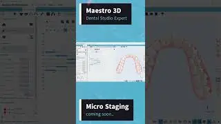 Maestro 3D | Dental Studio Expert | Micro Staging