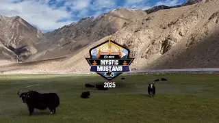 Mystic Mustang - Where every journey turns legendary