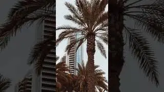 Photography in San Diego #shorts