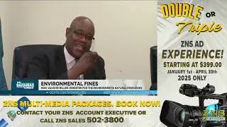 Environmental Fines