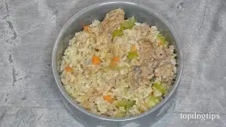 Thanksgiving Dinner for Dogs Recipe