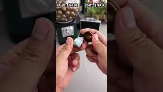 Great value for money!！！
