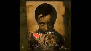 Dr. Flynn subtitulado espa&ntilde;ol