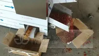 Best Price Chilli Cutting Machine From cara@machinehall.com Whatsapp 008613015518550