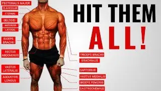The Best Science-Based Full Body Workout for Growth (WORKOUT &ldquo;A&rdquo;)