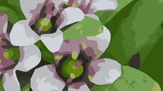 Cartovvel Krabs - Die M&uuml;hle