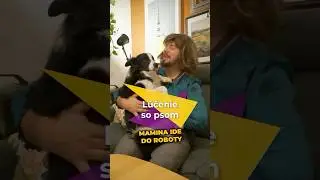 L&uacute;čenie so Psom Vs s Mužom