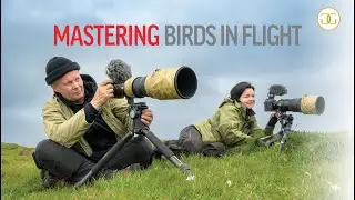 PHOTOGRAPHING BIRDS-IN-FLIGHT | How to get the shot