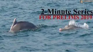 2 Minute Series - Environment - Dolphin Census || Prelims 2019