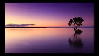 NOW AND FOREVER - Tom Shaw