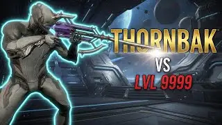 Сборка THORNBAK 9999 уровня: РЕАЛЬНОСТЬ новой самой слабой винтовки Warframe на максимальном уровне