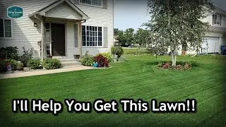 BIG Announcements To Help YOUR LAWN in 2020