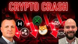 Crypto Crash | Is This the Shakeout Before the Wealth Transfer?